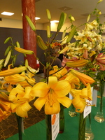 Foto: Dr. Peter Müller